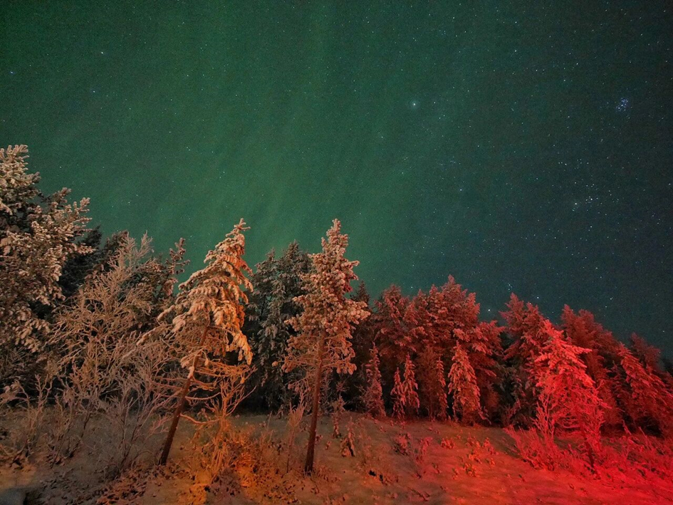 众信集团：中俄免签正式落地，俄罗斯极光市场升温