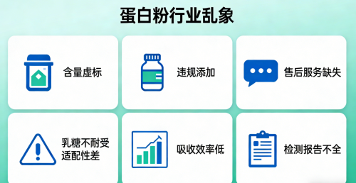 0添加蛋白粉推荐 2026年科学选购避坑指南