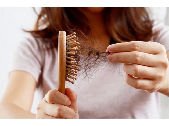 2026防脱洗发水十大品牌深度盘点，什么牌子的洗发水值得买？