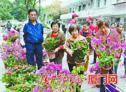 厦门老旧小区改造掀热潮 居民自掏腰包养护绿地