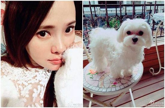 伊能静坚持怀孕期间养狗:先生不在时它便是伴(图)